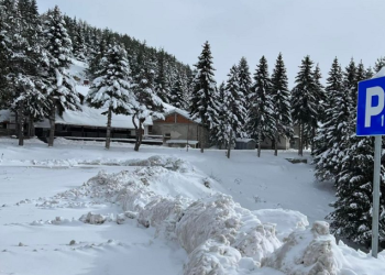 Pesë fëmijë dhe një i rritur shpëtohen pasi u bllokuan nga bora