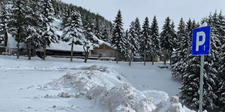 Pesë fëmijë dhe një i rritur shpëtohen pasi u bllokuan nga bora