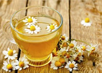 Kamomili shumë i rëndësishëm për shëndetin tonë – Ja cilat janë ndikimet e tij pozitive