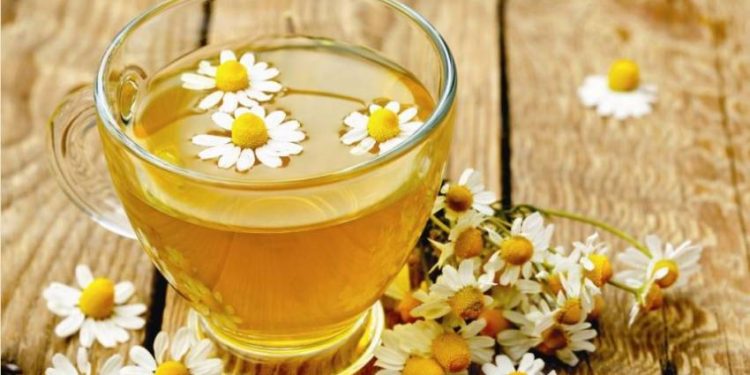 Kamomili shumë i rëndësishëm për shëndetin tonë – Ja cilat janë ndikimet e tij pozitive