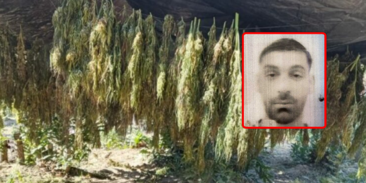 Ky është i arrestuari për një ton drogë në Pejë, sot u ekstradua nga Shqipëria në Kosovë