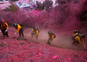 Zjarrfikësit nga e gjithë Amerika e Veriut shkojnë në LA