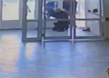 Refuzohet masa e paraburgimit për pronarin e qenit që sulmoi nxënësit në Suharekë, ky është vendimi