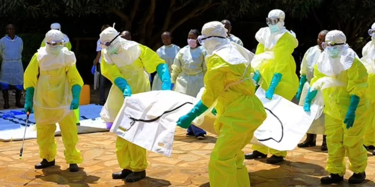 Sëmundja misterioze vret më shumë se 50 njerëz, përhapja filloi pasi tri fëmijë konsumuan një lakuriq të ngordhur