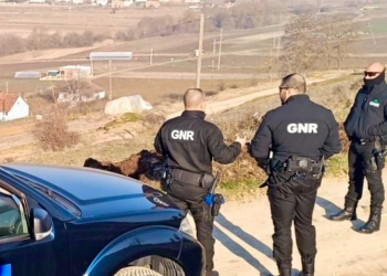 Zgjedhjet në Kosovë, EULEX-i monitoron situatën e sigurisë në mbarë vendin