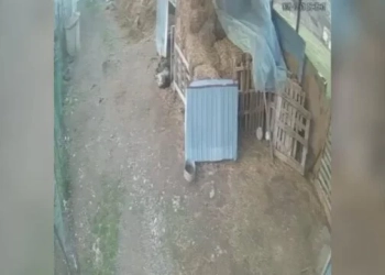 Dalin pamje të reja nga shembja e objektit në Jabllanicë të Gjakovës