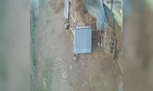 Dalin pamje të reja nga shembja e objektit në Jabllanicë të Gjakovës