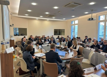 Delegacioni kosovar konfirmon heqjen e Kosovës nga agjenda e Komitetit Politik të KiE-së