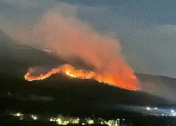 Rreth 300 raste të zjarreve në tri ditët e fundit, dyshohet se shumica janë shkaktuar nga dora e njeriut