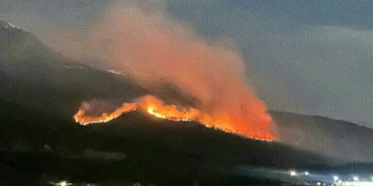 Rreth 300 raste të zjarreve në tri ditët e fundit, dyshohet se shumica janë shkaktuar nga dora e njeriut