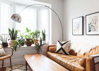 Kujdesi për bimët, ja sa dritë dhe ujë duan ato