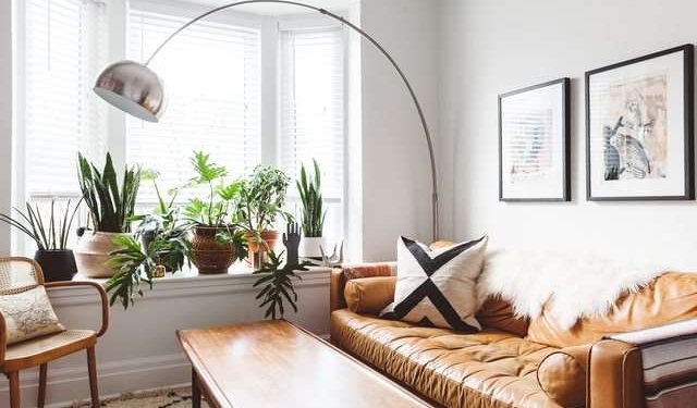 Kujdesi për bimët, ja sa dritë dhe ujë duan ato