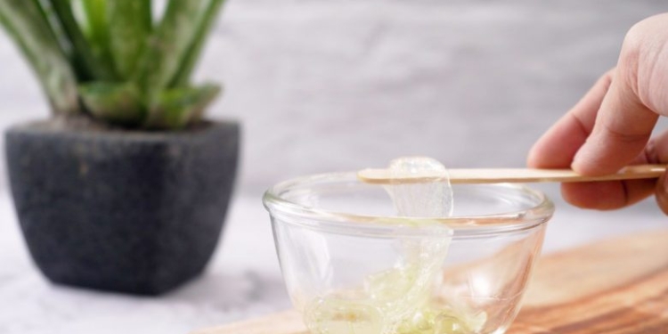 Arsyet pse duhet të konsumoni çdo ditë aloe vera