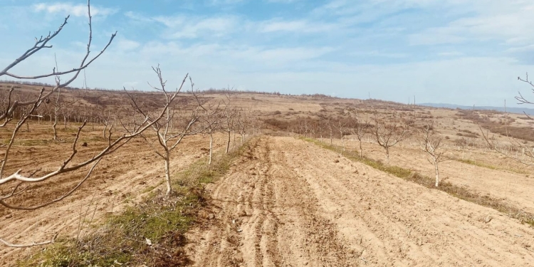 Muharremi: Politikat aktuale të bujqësisë me do subvencione, niveli më primitiv i mundshëm