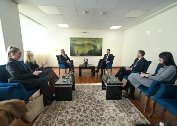 Kurti takohet me ambasadorin britanik