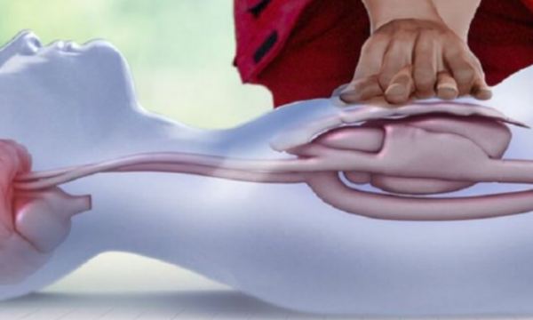 Këto janë shenjat paralajmëruese të arrestit kardiak