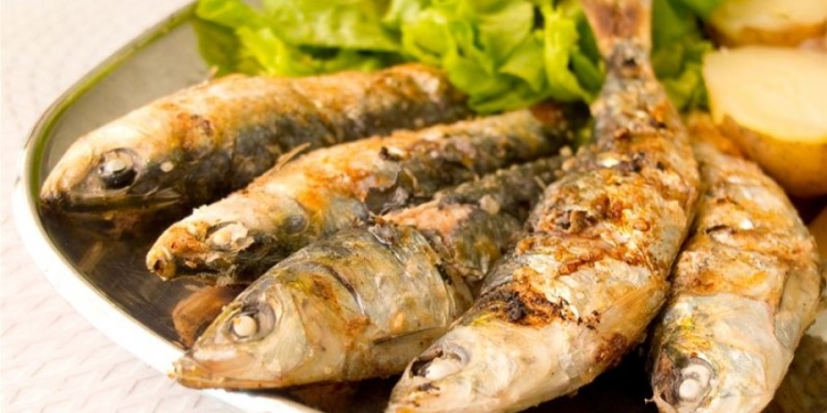 Nëse keni nevojë për vitaminë B12, hani sardele