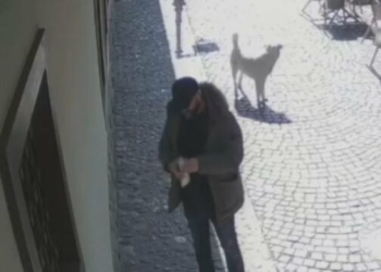 Grisi librin e shenjtë të Kuranit – gjykata merr vendim ndaj të dyshuarit