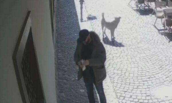 Grisi librin e shenjtë të Kuranit – gjykata merr vendim ndaj të dyshuarit