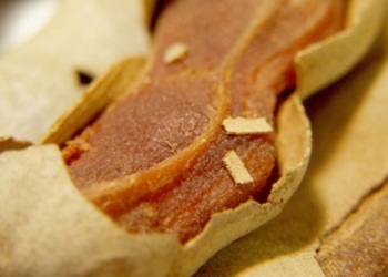 Ky është fruti i mrekullive, mëlçia juaj bëhet 20 vite më e re