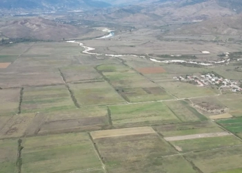 Gripi i shpendëve në Gjirokastër, futet në karantinë e gjithë zona e prekur nga infeksioni