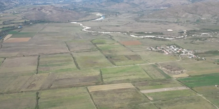 Gripi i shpendëve në Gjirokastër, futet në karantinë e gjithë zona e prekur nga infeksioni