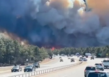 Gjendje e jashtëzakonshme për shkak të zjarreve në Long Island të Nju Jorkut