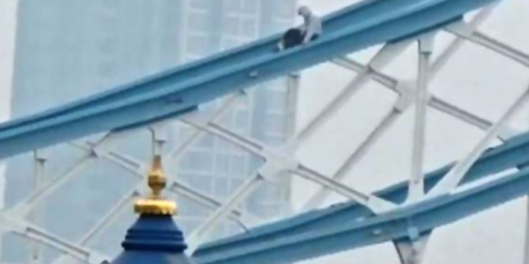 I riu qëndroi mbi dy orë në kullë, policia pezullon kalimin në Tower Bridge pas incidentit