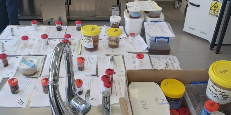 Pritje të gjata për rezultate në Institutin e Patologjisë