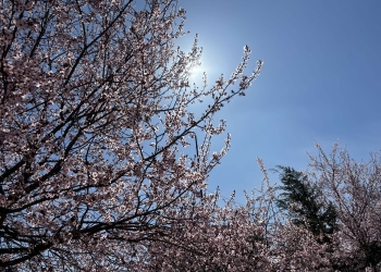 Moti për sot dhe vikend