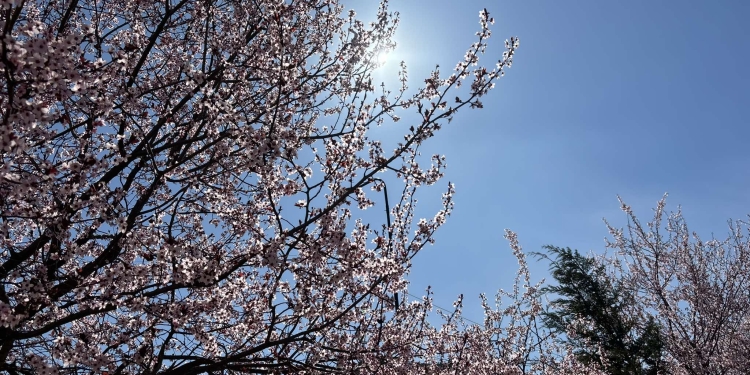 Moti për sot dhe vikend