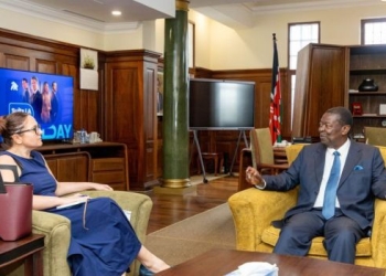 Pasi Kenia njohu Kosovën, zyrtari i MPJ-së në Nairobi takon ambasadoren serbe