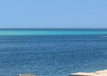 Tragjedi në Detin e Kuq: Gjashtë turistë humbin jetën pas fundosjes së nëndetëses në Hurgada