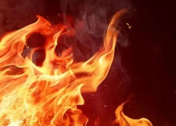 Shqipëri: Shpërthen zjarri në një stallë bagëtish, dyshohet për 200 krerë të djegura