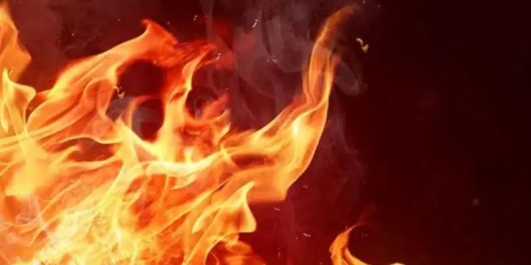 Shqipëri: Shpërthen zjarri në një stallë bagëtish, dyshohet për 200 krerë të djegura