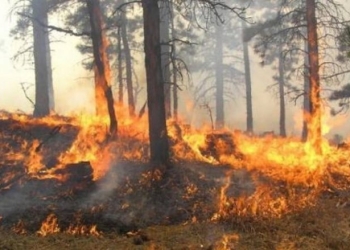 Policia reagon ndaj zjarreve të fundit, identifikon disa të dyshuar