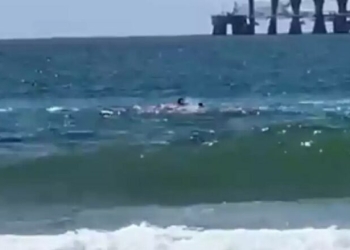 Peshkaqeni sulmon një notar në Izrael, autoritetet në kërkim të tij – PAMJE