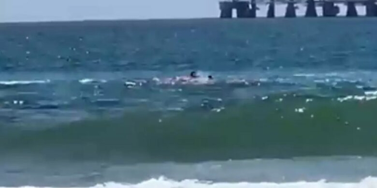 Peshkaqeni sulmon një notar në Izrael, autoritetet në kërkim të tij – PAMJE