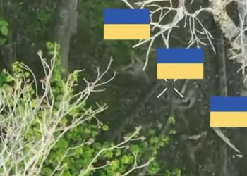 Dy brigada ukrainase i shpëtojnë ushtarët e kapur peng nga duart ruse