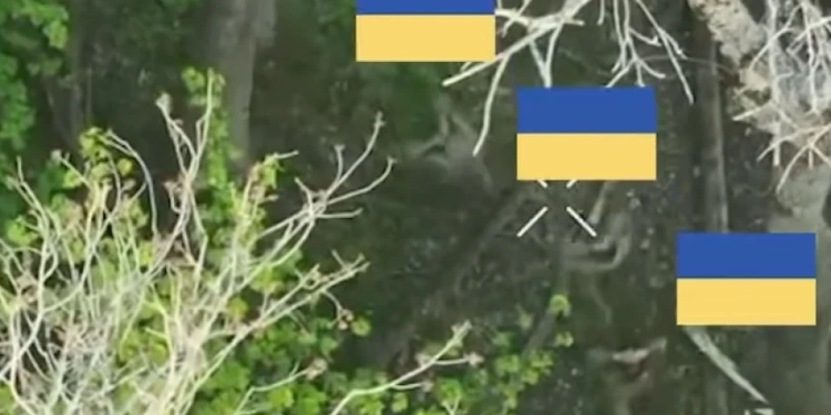 Dy brigada ukrainase i shpëtojnë ushtarët e kapur peng nga duart ruse