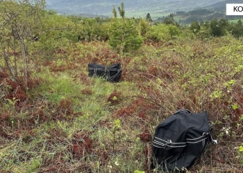 Policia parandalon trafikimin e mbi 32 kilogramëve drogë nga Shqipëria në Greqi