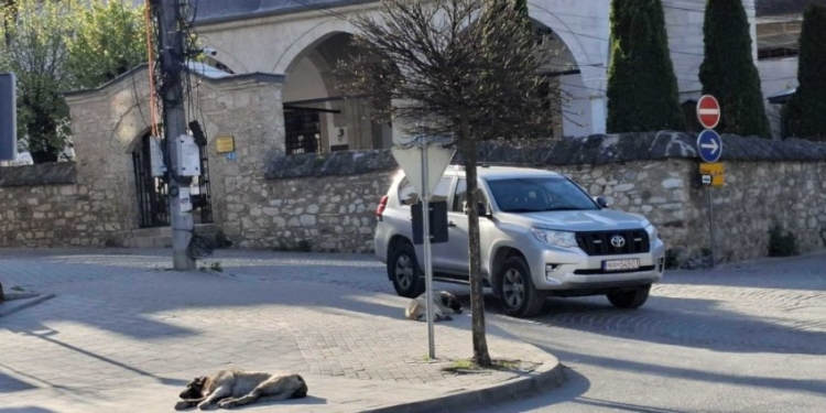 Aksion i ri policor në Kaçanik lidhur me vrasjen e policit Lika