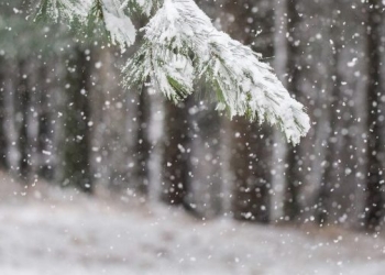 Të dielën borë në Kosovë, temperaturat deri në minus 3 gradë celsius