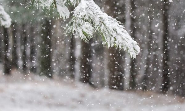 Të dielën borë në Kosovë, temperaturat deri në minus 3 gradë celsius
