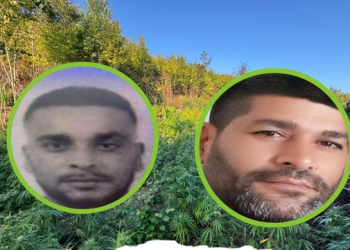 Kërkohet një muaj paraburgim për Klodian Coklin, i arrestuar për plantacionin 5 milionësh të kanabisit në Kosovë