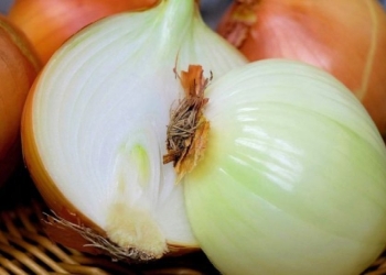 Përdorni qepën për shëndetin e trurit dhe sistemin nervor