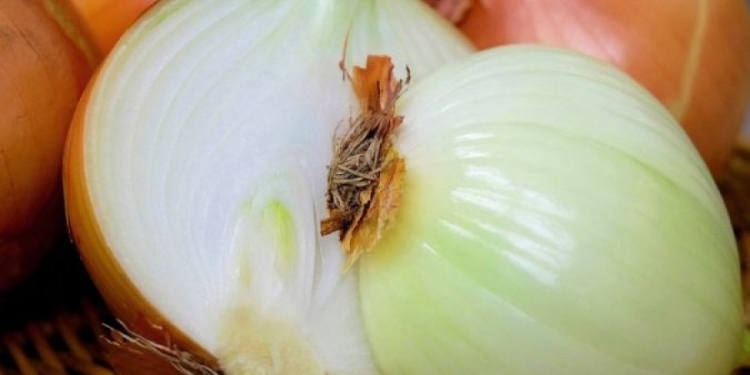 Përdorni qepën për shëndetin e trurit dhe sistemin nervor