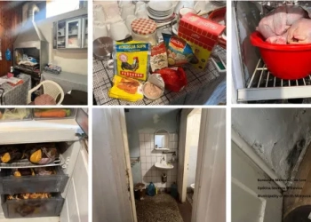 ​Mbyllen dy lokale në veri për shkelje sanitare