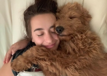 Qentë përmirësojnë shëndetin e zemrës