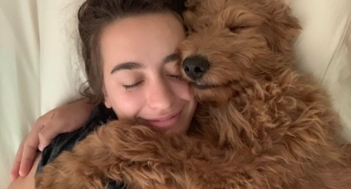 Qentë përmirësojnë shëndetin e zemrës